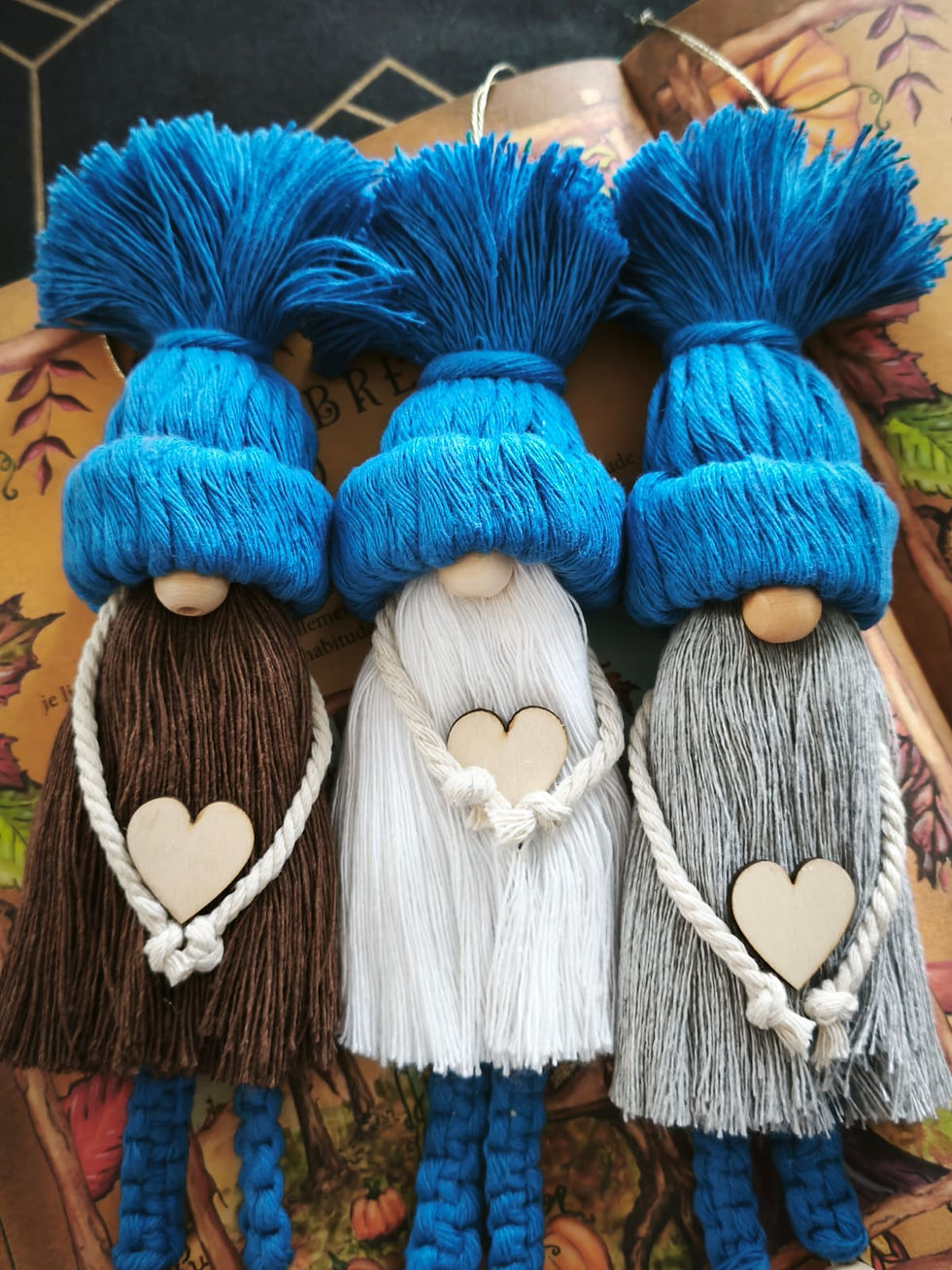 Miniature : Nos Gnomes farceurs