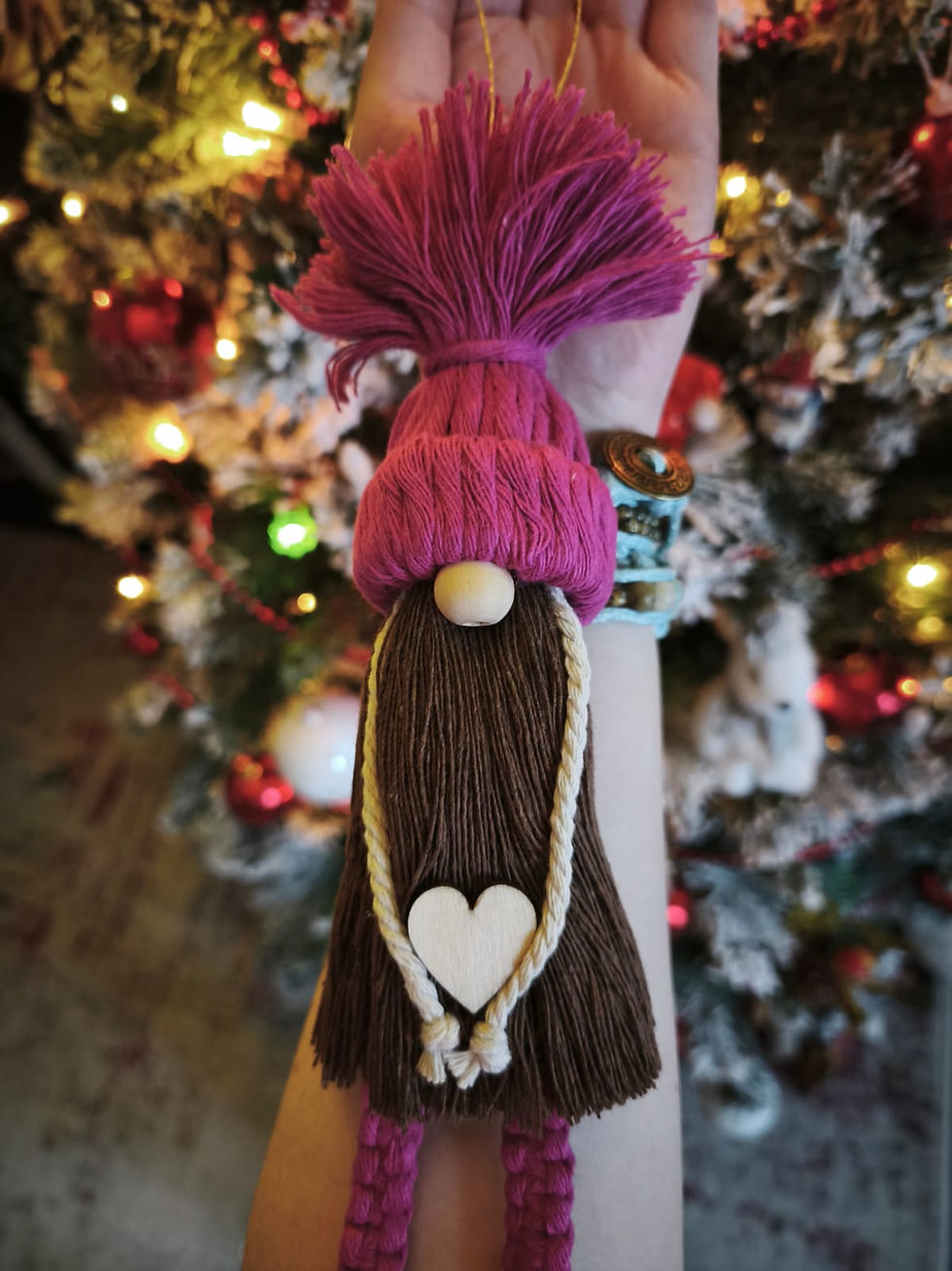 Miniature : Les Gnomes farceurs à barbe brune