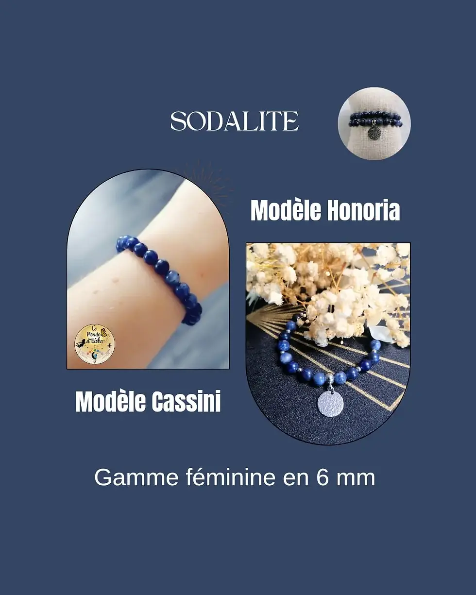 Miniature : Modèle Cassini