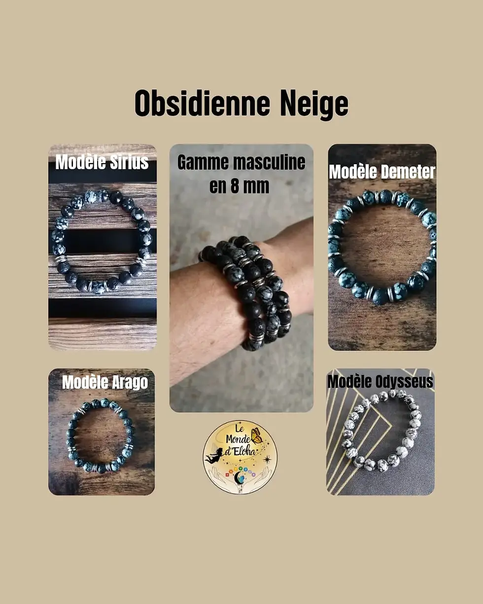 Miniature : Modèle Sirius