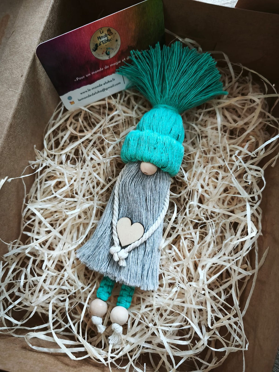 Miniature : Nos Gnomes farceurs
