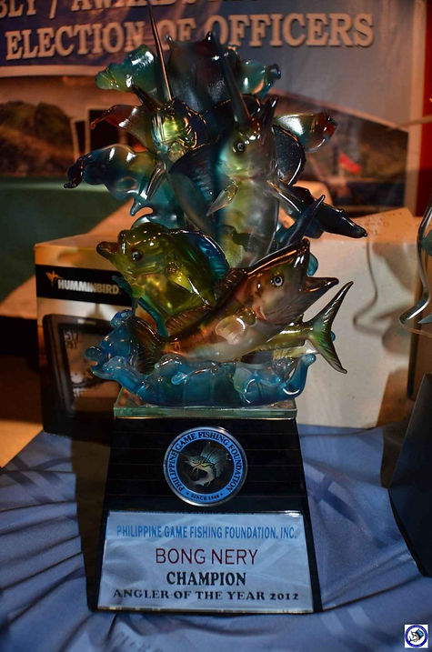 AOY 2012 Trophy