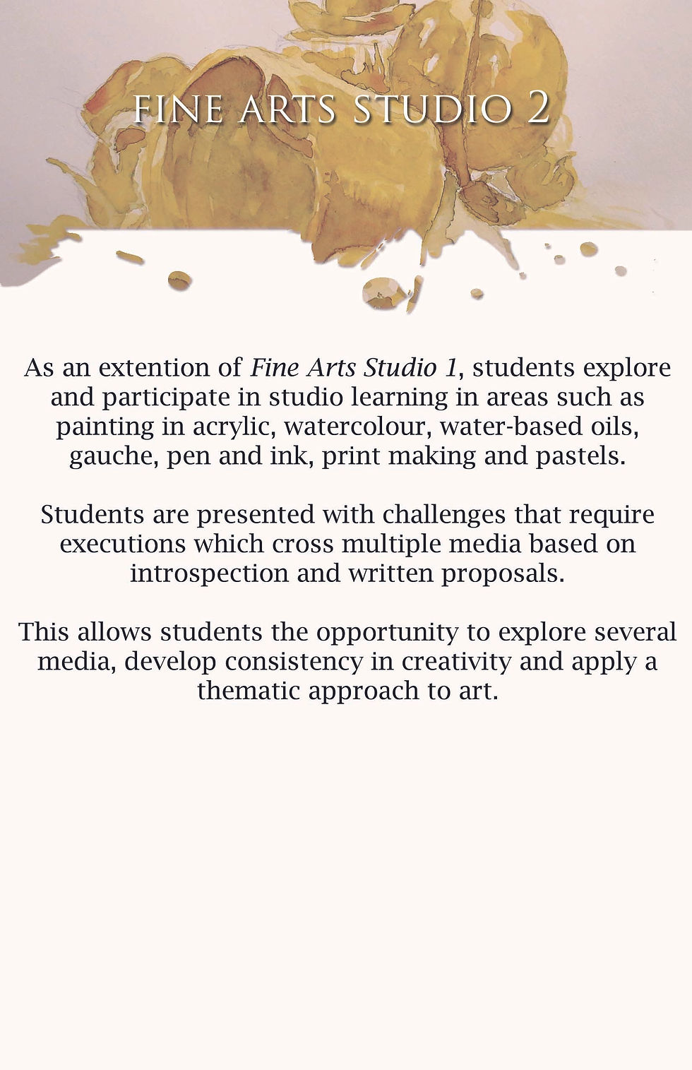 AADF Brochure: Fine Arts Studio 2