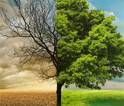 In focus: Our "Death / Why Do We All Die? & How To Not Fear Death" printed Gospel tract