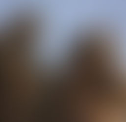 心を掌握する：ストア派のレジリエンスへの道