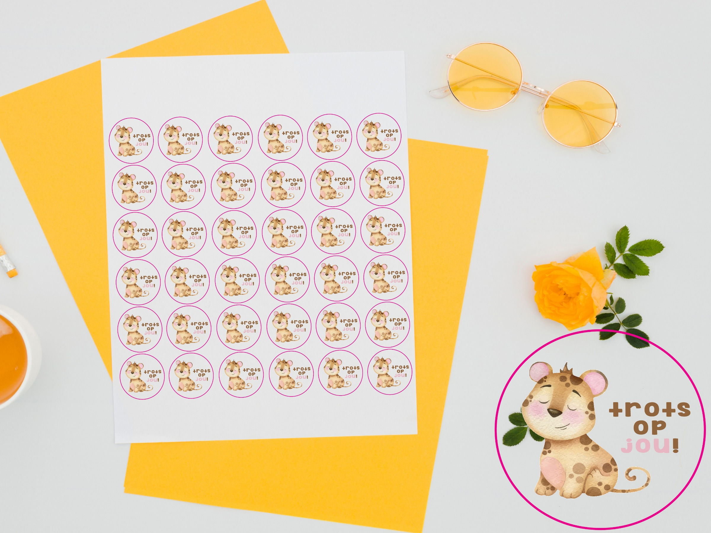 Trots op jou/ Proud of you