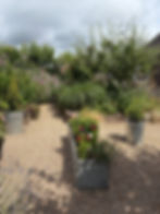 Garden Writer