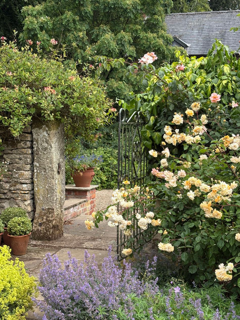 Garden Writer