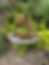 Garden Writer