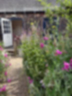 Garden Writer