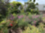 Garden Writer