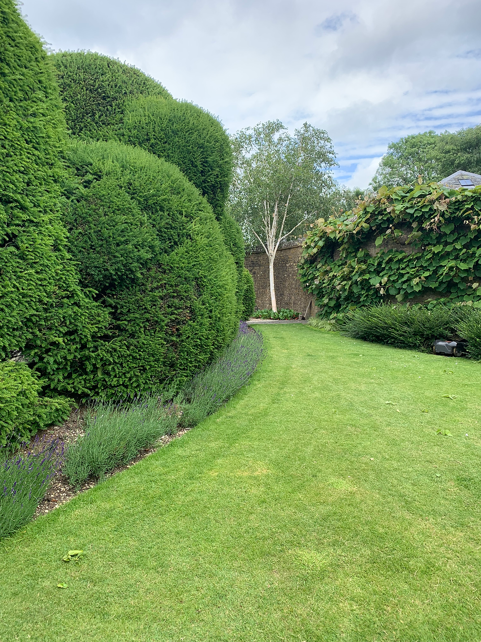 Garden Writer