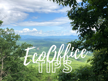 Low-lift, eco-friendly office habits that just make sense