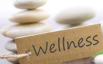 wellness pic.jpg
