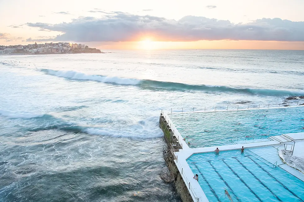 Bondi-Sunshine.jpg.webp