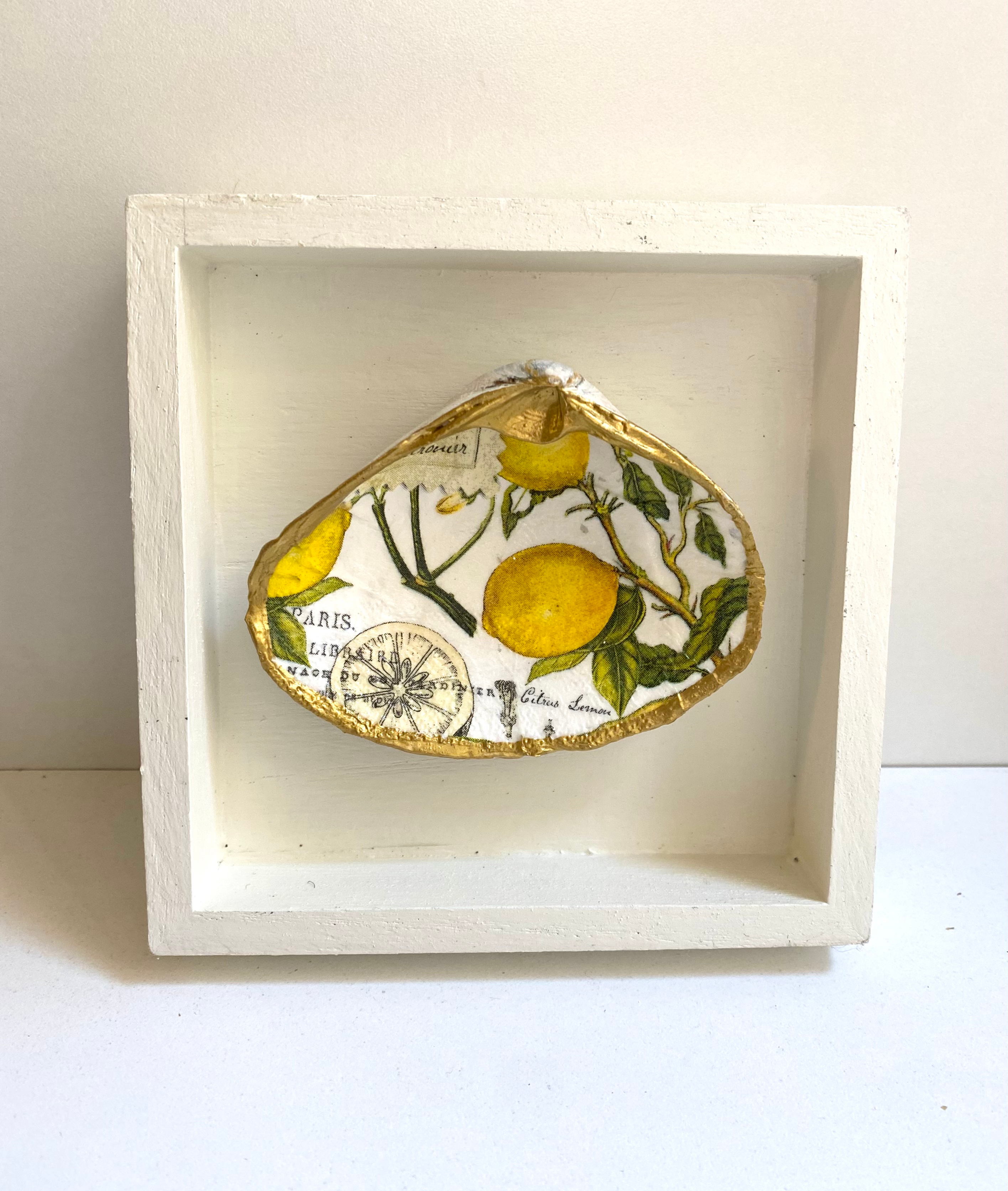 Clam Shell Shadow Box Wall Hanging-Lemon