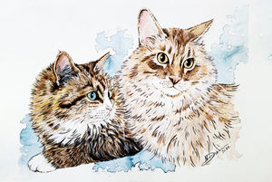 Cat Commission