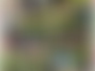 Wahlfach "Lernen in und von der Natur auf unserer Sonnenwiese"