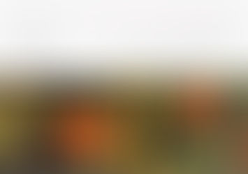 Non amo che le rose che non colsi