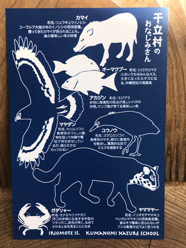 「西表島干立集落の生きもの」ポストカード(2枚組)の外観
