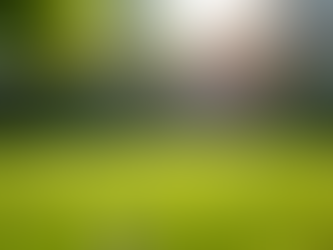 Benefits of Hiring a Dog Poop Service