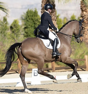 Screenshot 2024-07-03 at 11.14_edited.jp