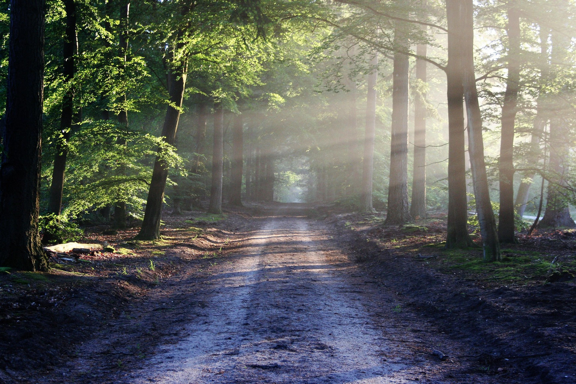 chemin-mieux-etre-interieur-hypno