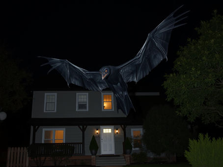 Another Giant Bird Sighting in the KC Area