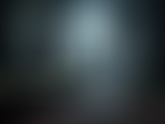 Two Bigfoot Observed in Northwest Missouri