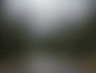 Colorado Sasquatch Sighting on Highway 149 Lori Bowlings Encounter and BFRO Footprint Find