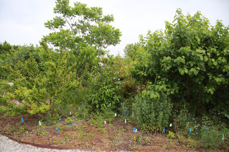 photo by Olga Romanova