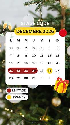 DECEMBRE_20260323_191323_0004.png