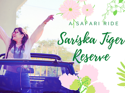 a safari ride (2).png