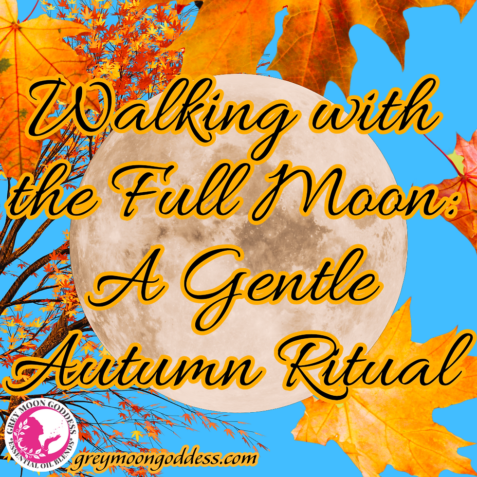 Walking with the Full Moon: A Gentle Autumn Ritual