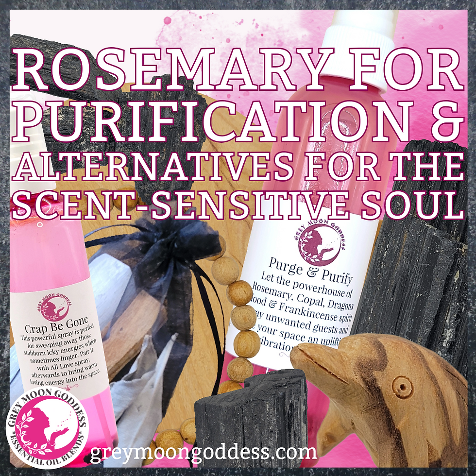 Rosemary for Purification & Alternatives for the Scent-Sensitive Soul