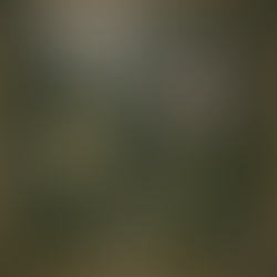 🌿 Tending the Self, Tending the Spirits: Faery Gardening as Sacred Self-Care 🌿