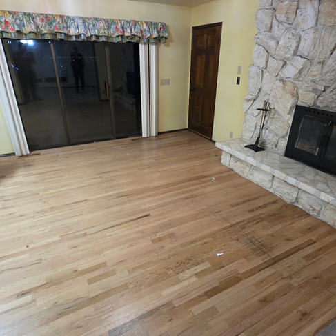 Full Trailer of Junk