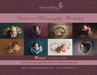 workshop diana carballo