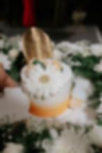 SIBIN JACKO PHOTOGRAPHY-551