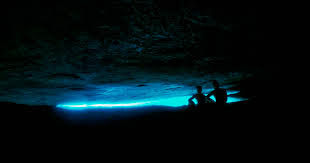 Gruta do Acaiá em Ilha Grande: A Gruta Fluorescente Única das Américas — Guia Completo 2026
