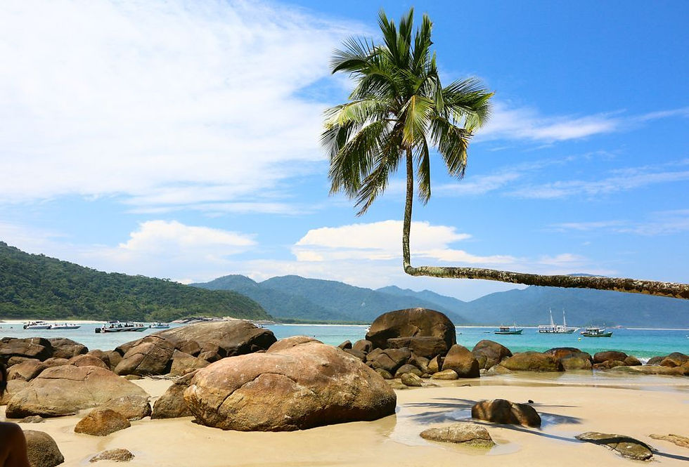 Passeio Volta a Ilha Grande 