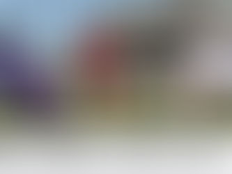 特集記事