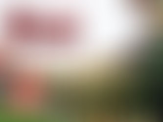 🎍謹賀新年🎍