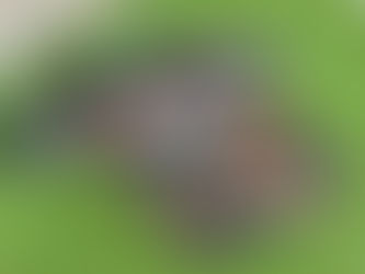 2020シーズン新トレーニングウェア完成‼️