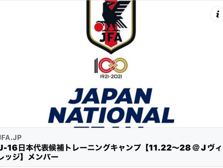 OB情報