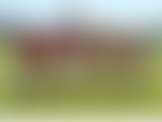 OB情報 6期生 大木泰季