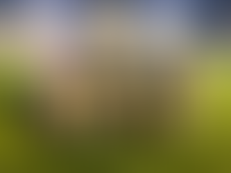 2025年度 関東ユース(U-13)サッカーリーグ 1部 Group A
《第9節》
🆚 横河武蔵野FC