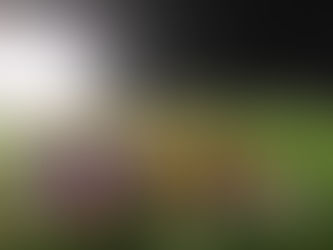 月曜日スクール蹴り納め