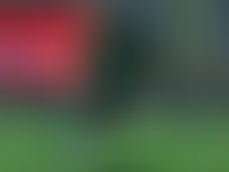 OB情報9期生 山口豪太