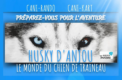 Husky d'Anjou.jpg